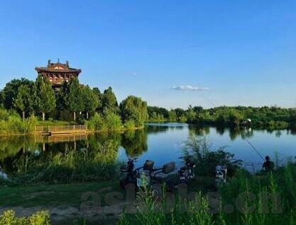 麻豆91香蕉-麻豆91，一次以绿色科技为关键词的视觉跃进